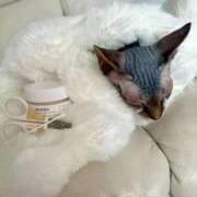 ヒメ日記 2025/10/29 09:19 投稿 一峰菜々緒 札幌ソフィア