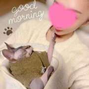 ヒメ日記 2025/11/17 06:42 投稿 一峰菜々緒 札幌ソフィア