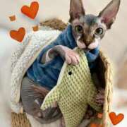 ヒメ日記 2025/12/13 13:48 投稿 一峰菜々緒 札幌ソフィア