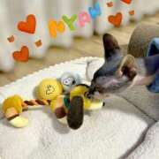 ヒメ日記 2026/01/18 18:33 投稿 一峰菜々緒 札幌ソフィア