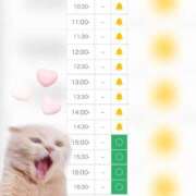 ヒメ日記 2025/06/17 12:19 投稿 まみ 白いぽっちゃりさん五反田店