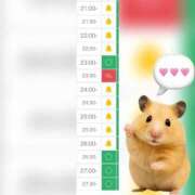 ヒメ日記 2025/06/19 15:49 投稿 まみ 白いぽっちゃりさん五反田店