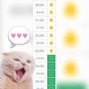 ヒメ日記 2025/06/20 19:30 投稿 まみ 白いぽっちゃりさん五反田店