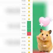 ヒメ日記 2025/06/25 14:29 投稿 まみ 白いぽっちゃりさん五反田店