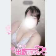 ヒメ日記 2025/07/04 19:30 投稿 まみ 白いぽっちゃりさん五反田店