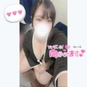 ヒメ日記 2025/07/07 08:29 投稿 まみ 白いぽっちゃりさん五反田店