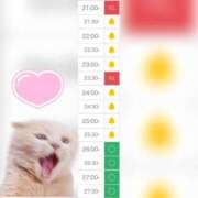 ヒメ日記 2025/07/08 21:09 投稿 まみ 白いぽっちゃりさん五反田店