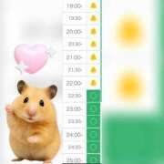 ヒメ日記 2025/07/11 13:09 投稿 まみ 白いぽっちゃりさん五反田店