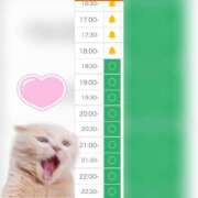 ヒメ日記 2025/07/12 13:09 投稿 まみ 白いぽっちゃりさん五反田店