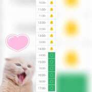 ヒメ日記 2025/07/17 11:02 投稿 まみ 白いぽっちゃりさん五反田店