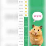 ヒメ日記 2025/07/18 20:44 投稿 まみ 白いぽっちゃりさん五反田店