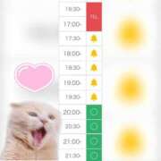 ヒメ日記 2025/07/23 16:59 投稿 まみ 白いぽっちゃりさん五反田店