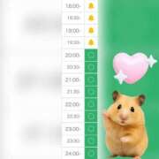 ヒメ日記 2025/07/25 16:19 投稿 まみ 白いぽっちゃりさん五反田店