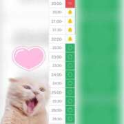 ヒメ日記 2025/07/25 20:29 投稿 まみ 白いぽっちゃりさん五反田店