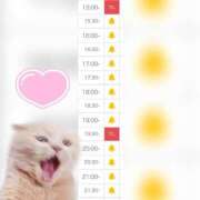 ヒメ日記 2025/07/27 15:39 投稿 まみ 白いぽっちゃりさん五反田店