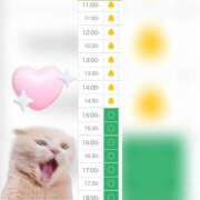 ヒメ日記 2025/08/03 11:33 投稿 まみ 白いぽっちゃりさん五反田店