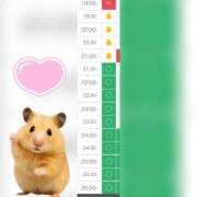 ヒメ日記 2025/08/08 18:53 投稿 まみ 白いぽっちゃりさん五反田店