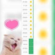 ヒメ日記 2025/08/11 21:22 投稿 まみ 白いぽっちゃりさん五反田店