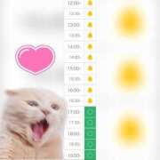 ヒメ日記 2025/08/20 12:19 投稿 まみ 白いぽっちゃりさん五反田店