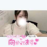 ヒメ日記 2025/08/28 15:29 投稿 まみ 白いぽっちゃりさん五反田店