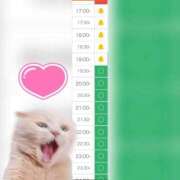 ヒメ日記 2025/08/28 17:09 投稿 まみ 白いぽっちゃりさん五反田店