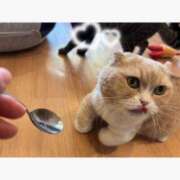 ヒメ日記 2025/09/11 21:19 投稿 まみ 白いぽっちゃりさん五反田店