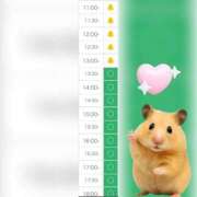 ヒメ日記 2025/09/20 11:09 投稿 まみ 白いぽっちゃりさん五反田店