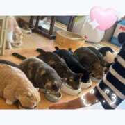 ヒメ日記 2025/09/22 12:19 投稿 まみ 白いぽっちゃりさん五反田店