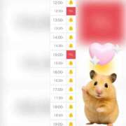 ヒメ日記 2025/09/22 12:49 投稿 まみ 白いぽっちゃりさん五反田店