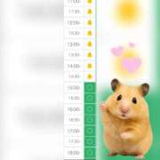 ヒメ日記 2025/10/04 11:20 投稿 まみ 白いぽっちゃりさん五反田店