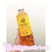 ヒメ日記 2025/10/04 18:29 投稿 まみ 白いぽっちゃりさん五反田店