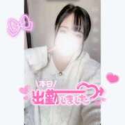 ヒメ日記 2025/10/05 09:59 投稿 まみ 白いぽっちゃりさん五反田店