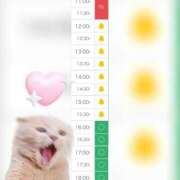 ヒメ日記 2025/10/05 11:09 投稿 まみ 白いぽっちゃりさん五反田店