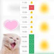 ヒメ日記 2025/10/06 12:35 投稿 まみ 白いぽっちゃりさん五反田店