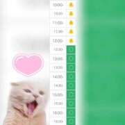 ヒメ日記 2025/10/07 10:19 投稿 まみ 白いぽっちゃりさん五反田店