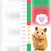 ヒメ日記 2025/10/08 10:39 投稿 まみ 白いぽっちゃりさん五反田店