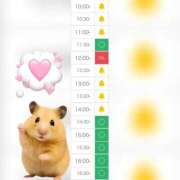 ヒメ日記 2025/10/17 10:09 投稿 まみ 白いぽっちゃりさん五反田店