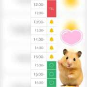 ヒメ日記 2025/10/21 12:39 投稿 まみ 白いぽっちゃりさん五反田店