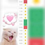 ヒメ日記 2025/10/29 10:09 投稿 まみ 白いぽっちゃりさん五反田店