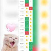 ヒメ日記 2025/10/31 10:19 投稿 まみ 白いぽっちゃりさん五反田店