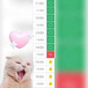 ヒメ日記 2025/11/14 11:29 投稿 まみ 白いぽっちゃりさん五反田店