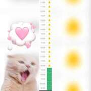 ヒメ日記 2025/11/15 10:59 投稿 まみ 白いぽっちゃりさん五反田店