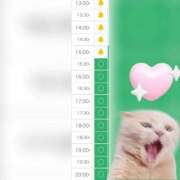 ヒメ日記 2025/11/29 10:31 投稿 まみ 白いぽっちゃりさん五反田店