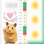 ヒメ日記 2025/11/29 15:33 投稿 まみ 白いぽっちゃりさん五反田店