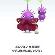 ヒメ日記 2025/12/15 20:29 投稿 まみ 白いぽっちゃりさん五反田店