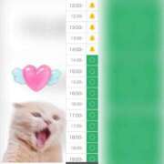 ヒメ日記 2026/01/18 09:09 投稿 まみ 白いぽっちゃりさん五反田店