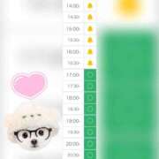 ヒメ日記 2026/01/18 14:49 投稿 まみ 白いぽっちゃりさん五反田店