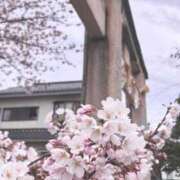 ヒメ日記 2026/04/04 23:03 投稿 まみ 秋葉原コスプレ学園in仙台