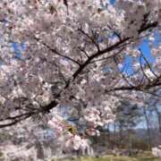 ヒメ日記 2026/04/08 19:43 投稿 まみ 秋葉原コスプレ学園in仙台