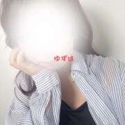 ヒメ日記 2025/05/27 20:31 投稿 ゆずはちゃん あっきーず